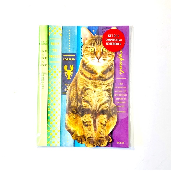 Rainbow Tabby Cat Notebook Set by Galison New - Picture 3 of 6